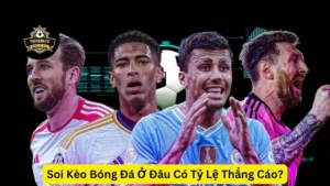 Soi kèo bóng đá Thevang TV