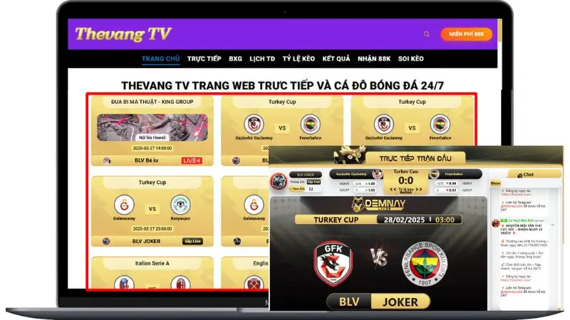 Cách truy cập và sử dụng Thevang TV