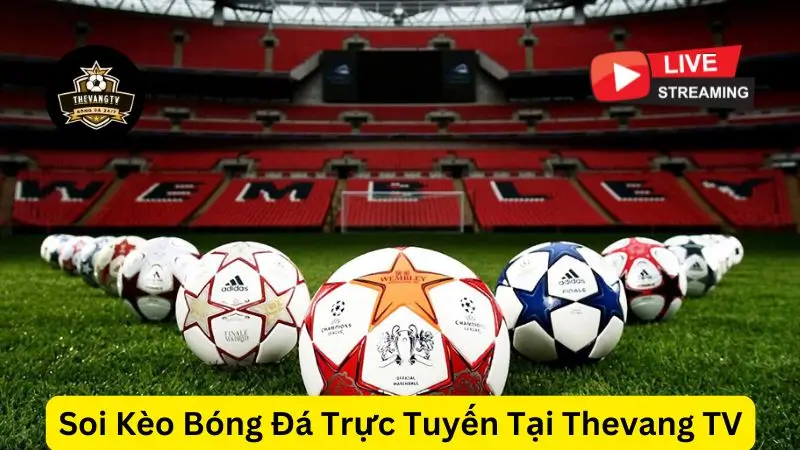 Soi Kèo Bóng Đá Trực Tuyến Tại Thevang TV