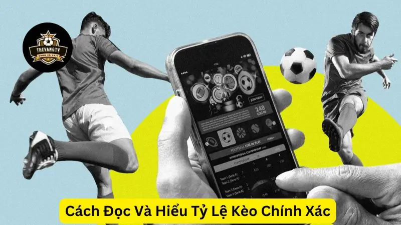 Thevang TV - Cách Đọc Và Hiểu Tỷ Lệ Kèo Chính Xác